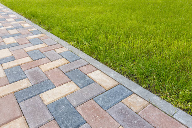 Best Driveway Paver Repair  in Ava, MO